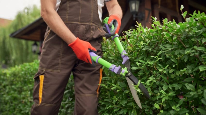 Manutenção Mensal de Jardim