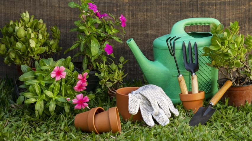 Plantas ornamentais / terra / substratos / insumos em geral